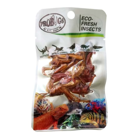 Pro Bugs Eco Fresh Grasshopper
