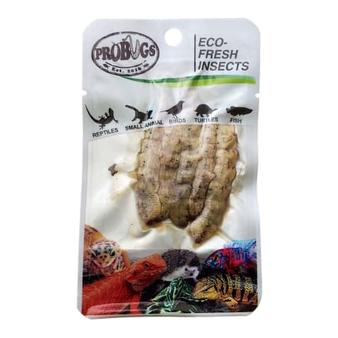 Pro Bugs Eco Fresh Silkworm