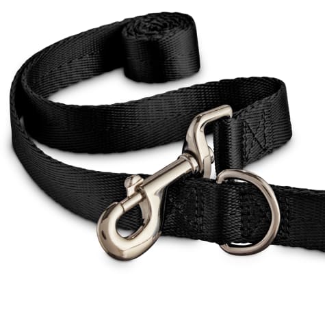 nylon dog leash