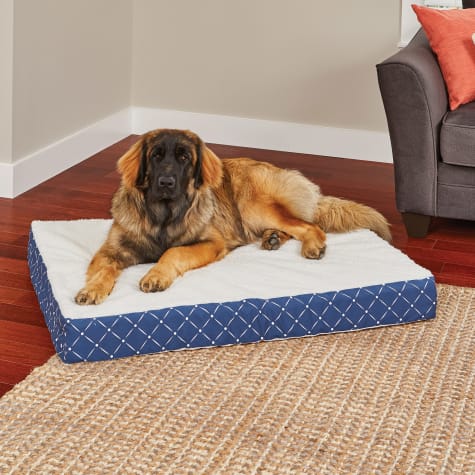 Midwest Quiet Time Couture Double Orthopedic Dog Bed