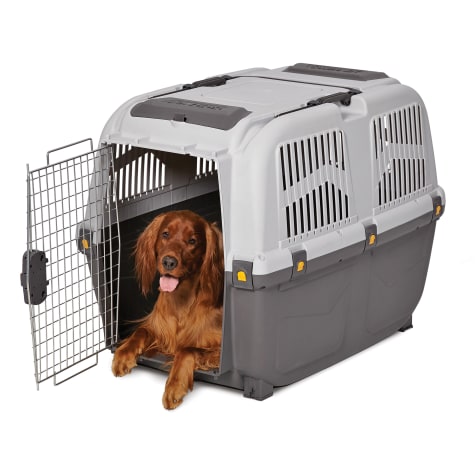 Midwest Skudo Plastic Travel Carrier for Dogs