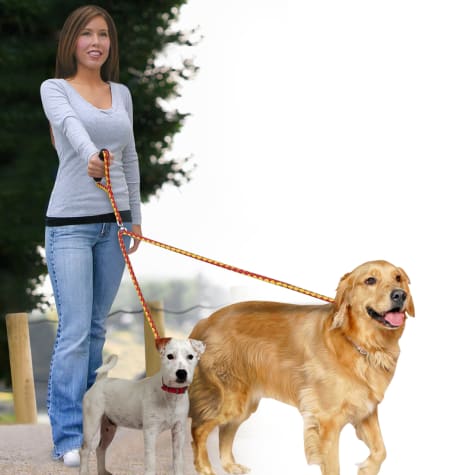 dual dog walking leash