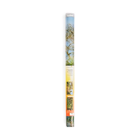 Imagitarium 10 Gallon Double-Sided Terrarium Background