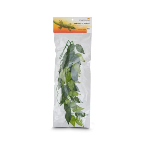 Imagitarium Hanging Silk Plant