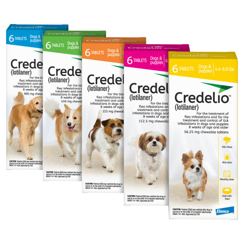 Credelio Chewable Tablets for Dogs 25.1-50 lbs. - Green, 6 Pack | Petco