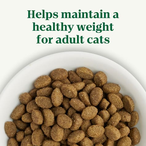 nutro cat food feeding guidelines