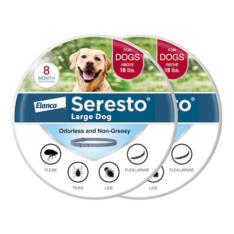 Seresto Flea and Tick Collar for Large Dogs, Pack of 2 Collars | Petco