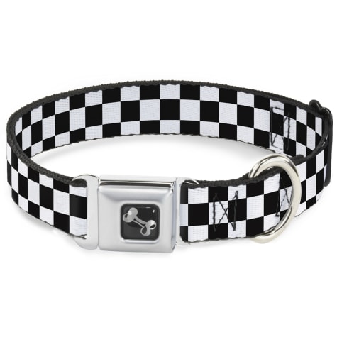 unique dog collars