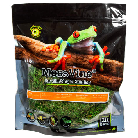 Galapagos MossVine