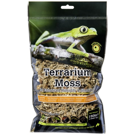 Galapagos Terrarium Sphagnum Moss Golden