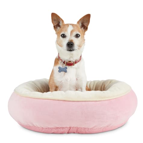 pink dog bed