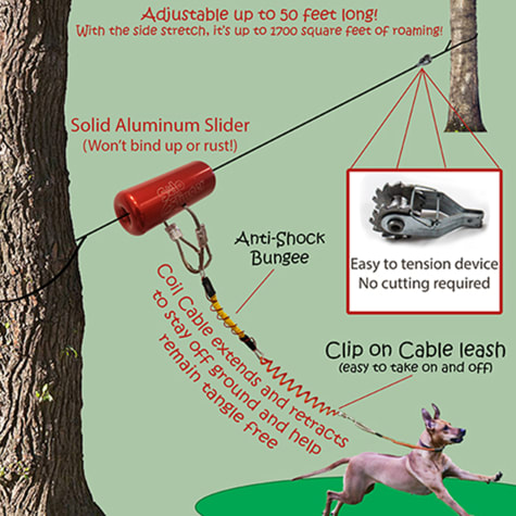 dog tie out trolley system