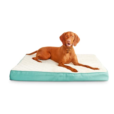 Harmony Green Orthopedic Lounger Dog Bed