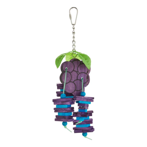 You & Me Grape Expectations Chewing Bird Toy