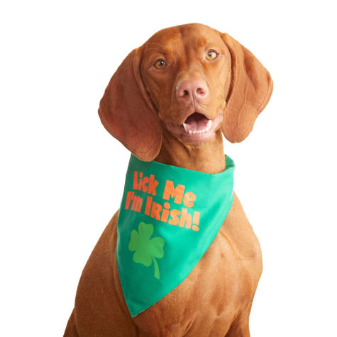 Download Bond & Co. Saint Patrick's Day Double-Sided Dog Bandana ...