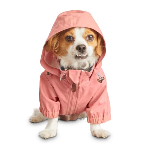 petco coats