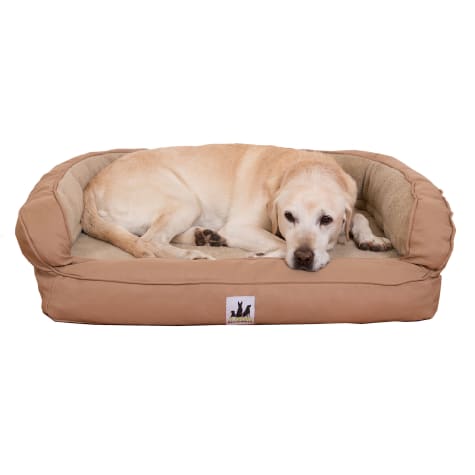 wash dog bed with stuffing