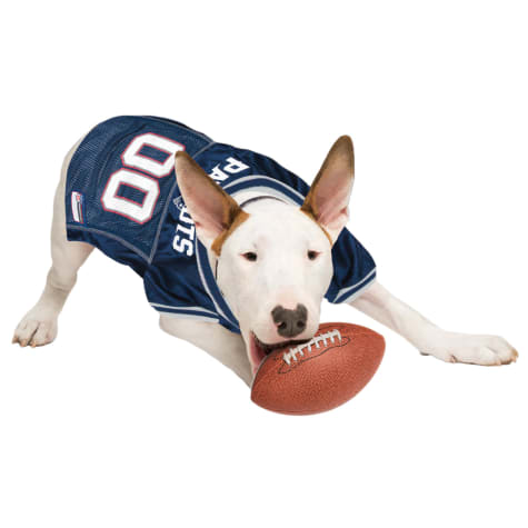 patriots dog toy