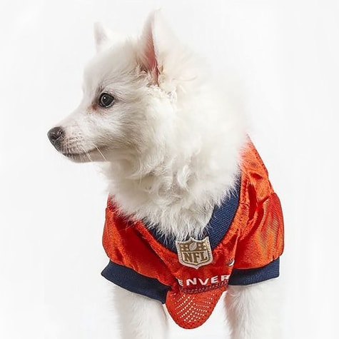 broncos jersey for dogs