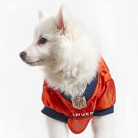 Pets First Denver Broncos Mesh Jersey 