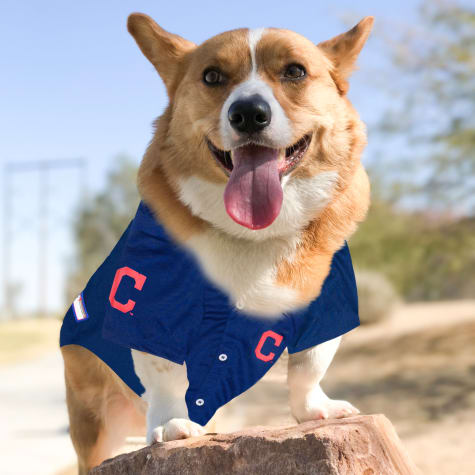 cleveland indians dog jersey