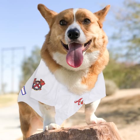 braves jersey for dogs