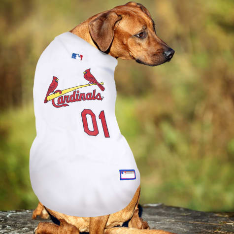 st louis cardinals dog jersey