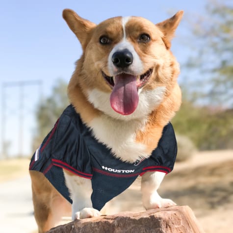 Houston Texans Mesh Jersey for Dogs 