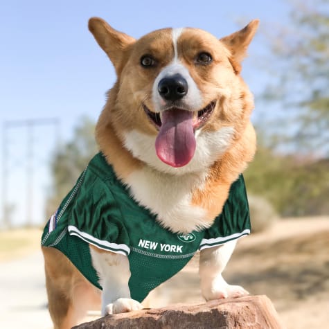 ny jets jersey for dogs