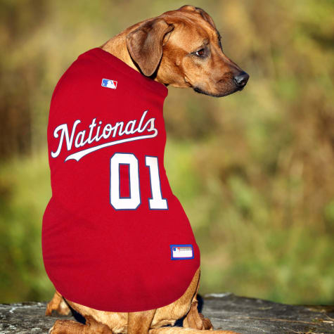 washington nationals dog jersey