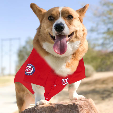 nationals dog jersey