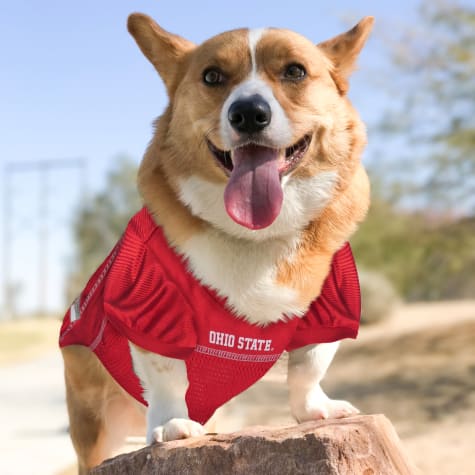 Ohio State Mesh Jersey for Dogs 