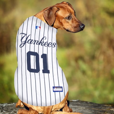 yankees dog jersey