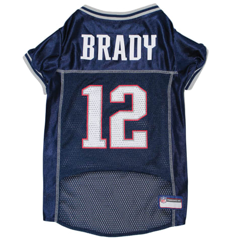 tom brady dog jersey