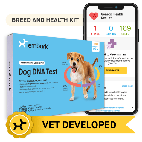 pet dna kit
