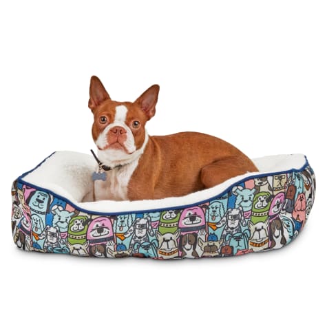 cheapest place to buy dog beds