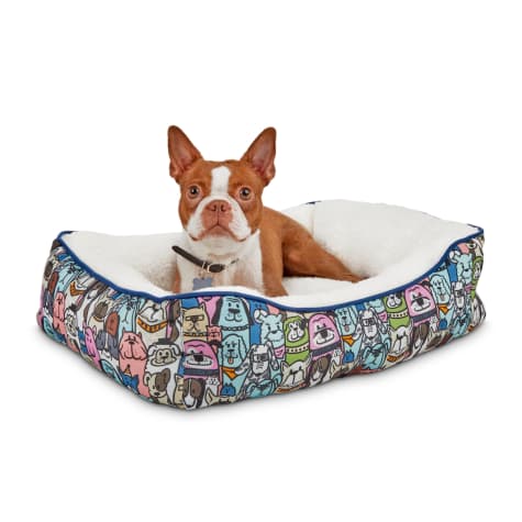 cheapest place to buy dog beds