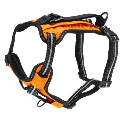 orange harness for dogs