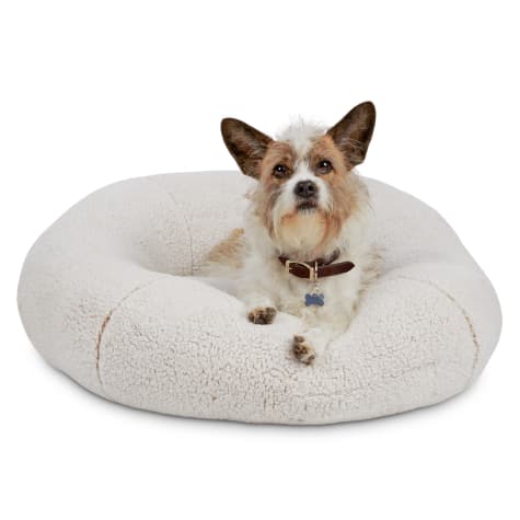 ball dog bed