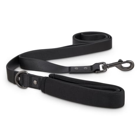 long dog leash petco