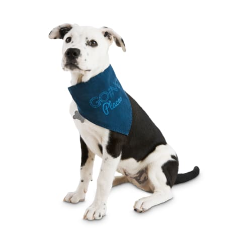 petco dog bandana