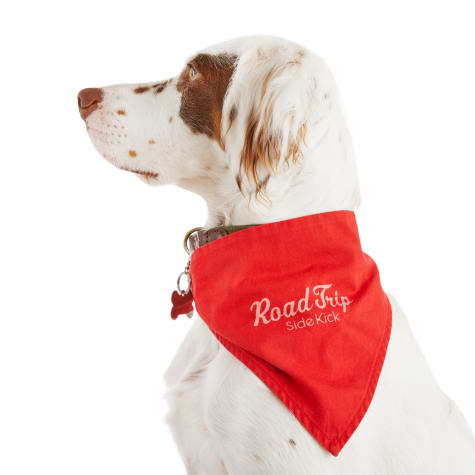 petco dog bandana