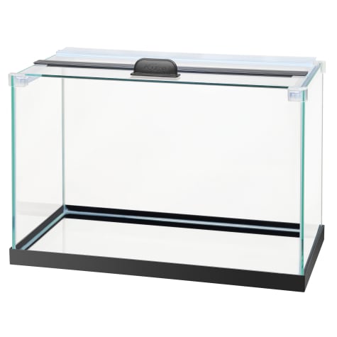 Aqueon Rimless Black Tank Aquarium, 5.5 Gallon | Petco