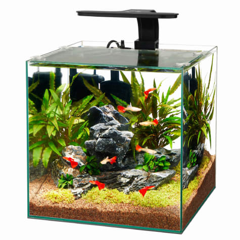 Aqueon Frameless Cube Aquarium, 6 Gallon | Petco