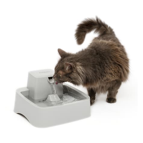 PetSafe Oasys 1/2 Gallon (64 Ounce) Small Pet Fountain