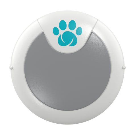 SureFlap Animo Activity Tracker and Behavior Monitor for Dogs