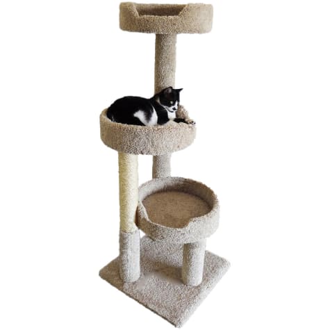 New Cat Condos 3 Level Premier Brown Kitty Pad Tree