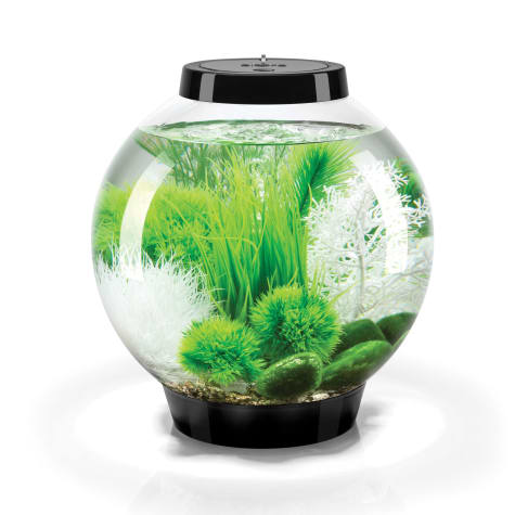 biOrb CLASSIC 15 Black Grass Field Aquarium Set with Standard Light