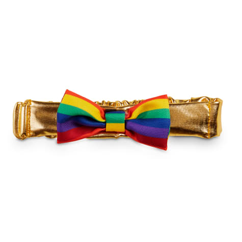 petco dog bow tie