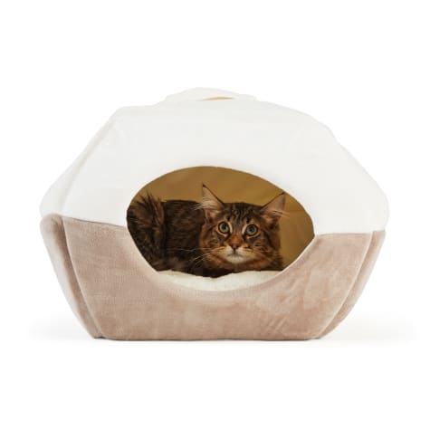 EveryYay Snooze Fest 2 in 1 Novelty Pyramid Convertible Cat Bed